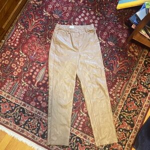 Aritzia Wilfred faux leather pants